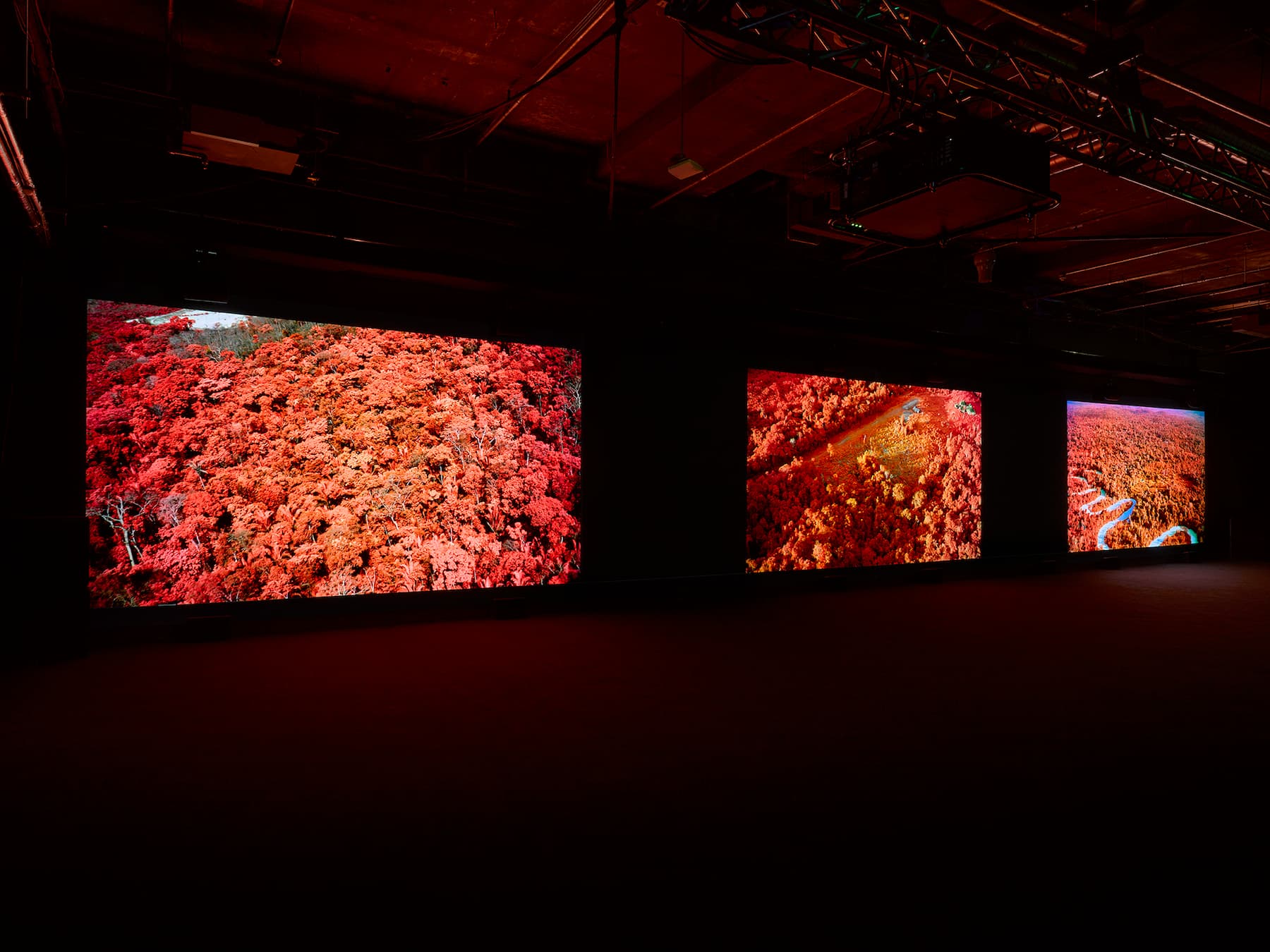 Richard Mosse — Broken Spectre