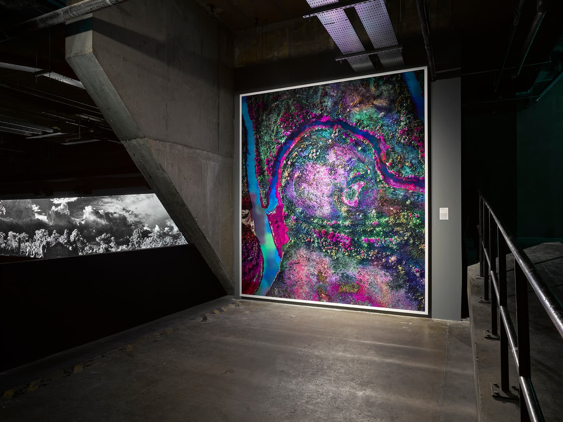 Richard Mosse — Broken Spectre