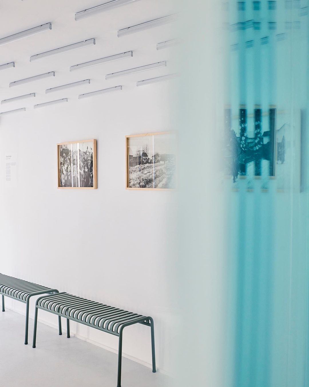 Malanka exhibition